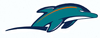 Dolphins Design Image